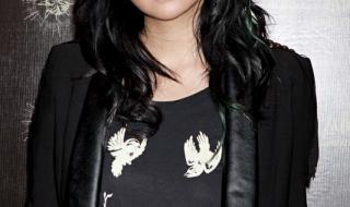 张惠妹阿密特演唱会 张惠妹阿密特演唱会