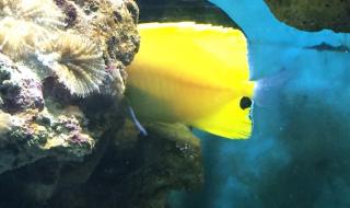 小梅沙旅游攻略