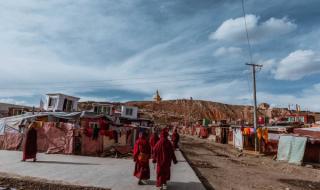 素火腿肠是什么做的 素火腿肠是什么做的