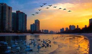 新疆大学科技学院 新疆大学科技学院