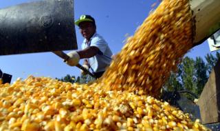 玉米深加工企业 玉米深加工企业