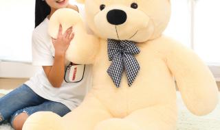 小熊牵着大熊走 小熊牵着大熊走