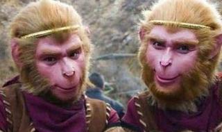 梦幻西游真假美猴王