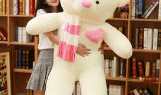 小熊牵着大熊走 小熊牵着大熊走