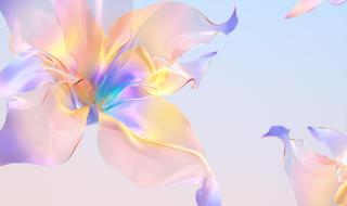 荣耀70PRO最新消息 荣耀70PRO最新消息