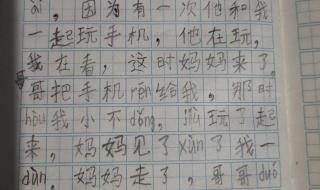 一年级日记 一年级日记