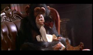 神探飞机头1 神探飞机头1