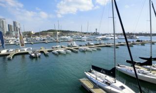 青岛到上海汽车