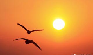 我在等待着谁 我在等待着谁