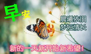 感恩图片2021新图片