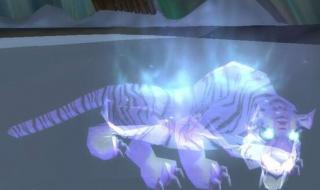 魔兽世界灵魂兽大全 魔兽世界灵魂兽大全