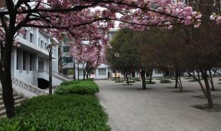 贵州工程应用技术学院 贵州工程应用技术学院